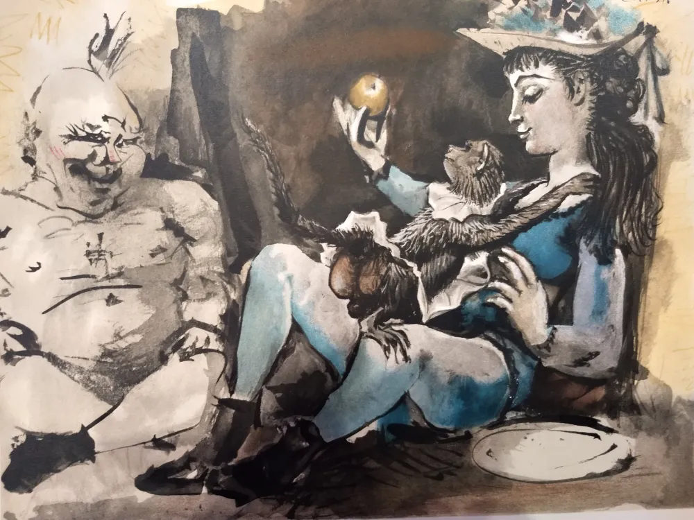 Geïllustreerd Boek Picasso - Verve 29 30