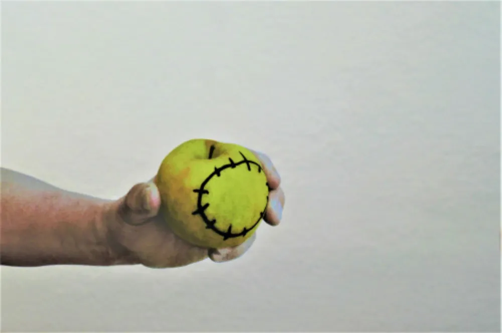 Zeefdruk Pistoletto - La mela reintegrata