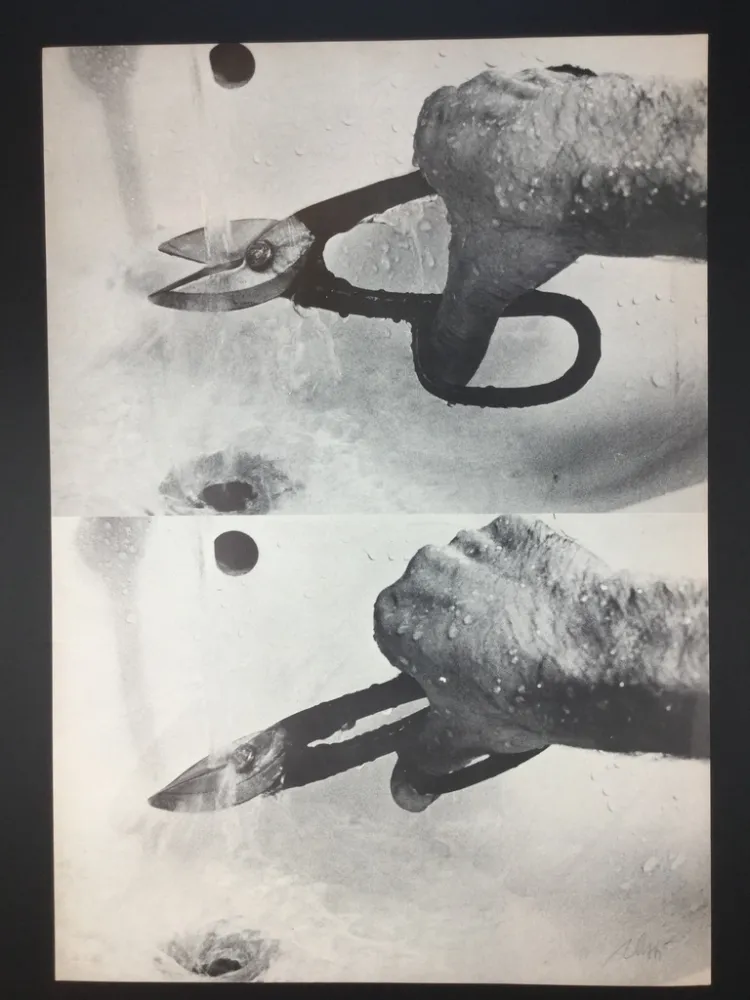 Lithografie Plessi - Naufragio 