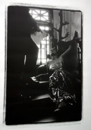 Multiple Pushpamala - Phantom Lady #14