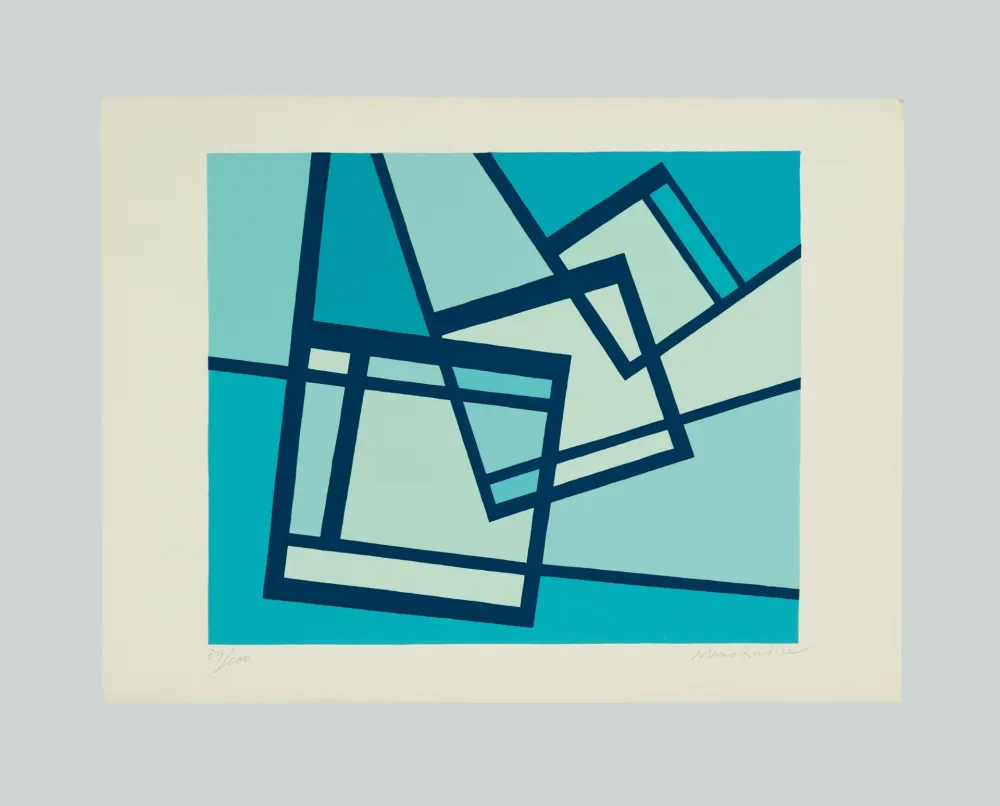 Zeefdruk Radice - La distruzione