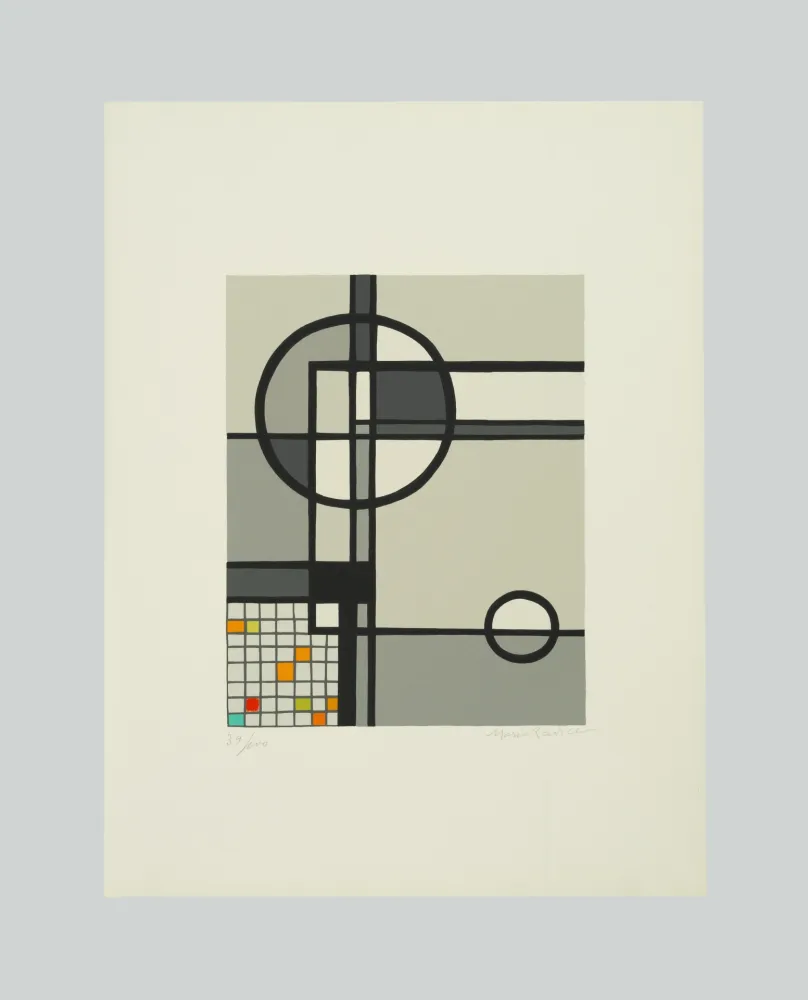 Zeefdruk Radice - Le promesse d'un volto