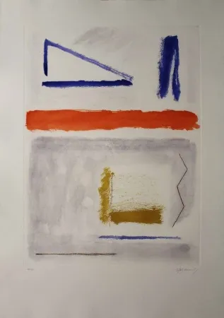 Ets En Aquatint Ràfols Casamada - Camí de primavera 1