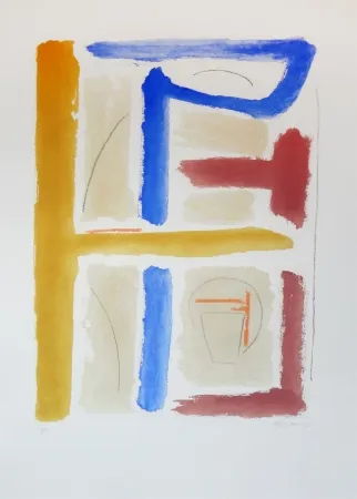 Ets En Aquatint Ràfols Casamada - Cami de primavera IV