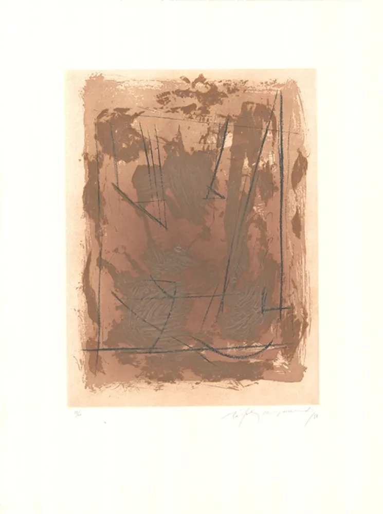 Ets En Aquatint Ràfols Casamada - Circ-6