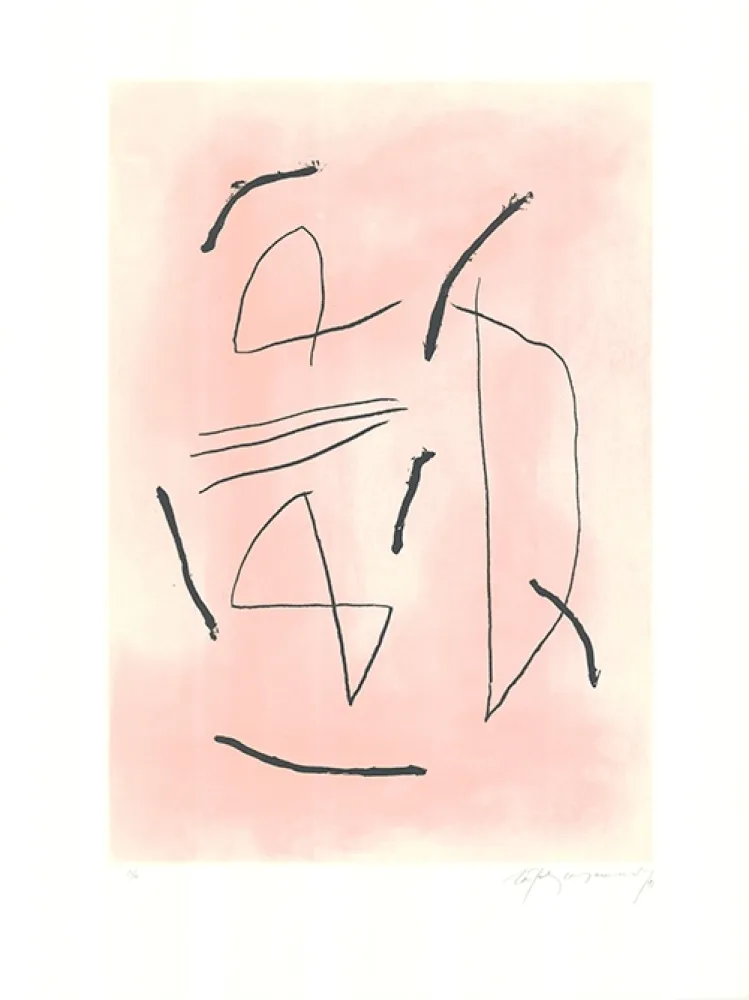 Ets En Aquatint Ràfols Casamada - Signe i color 4