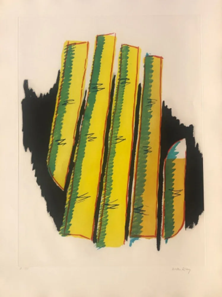 Aquatint Ray - Cactus