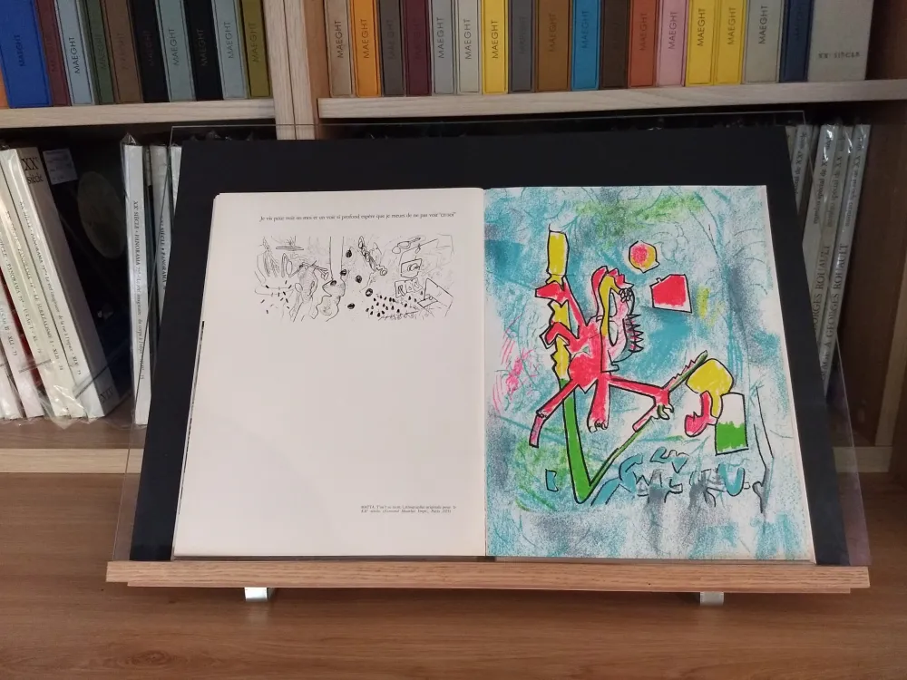 Geïllustreerd Boek Ray - No 45