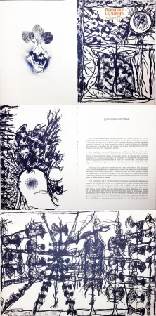 Geïllustreerd Boek Riopelle - Derrière le Miroir n° 232. 9 LITHOGRAPHIES ORIGINALES (1979).