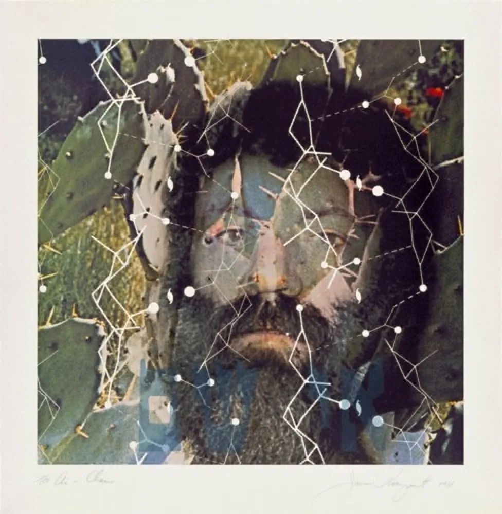 Lithografie Rosenquist - The