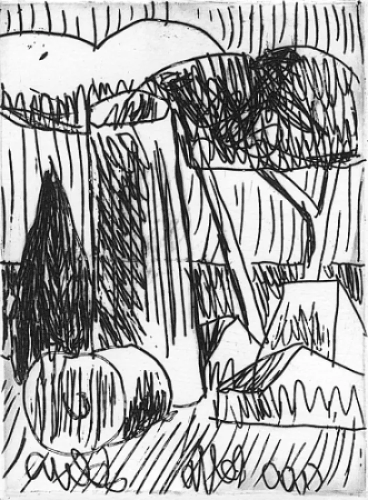 Geïllustreerd Boek Salvo - Nascere due volte