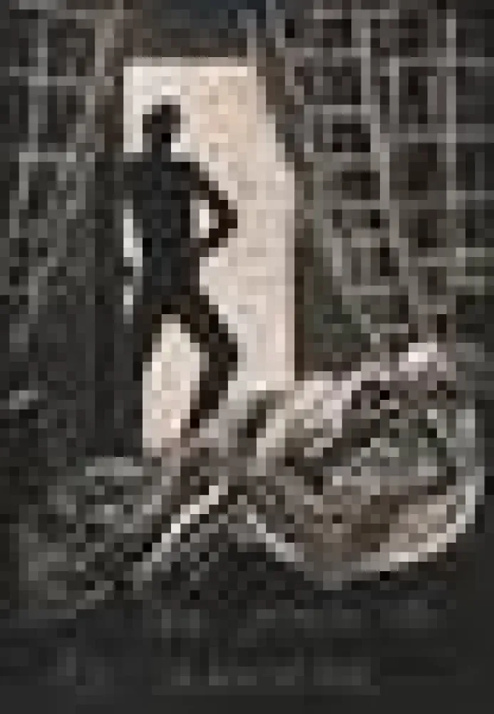 Geïllustreerd Boek Savin  - Sept vieilles chansons