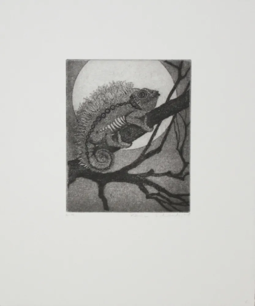 Ets En Aquatint Schaub - Chameleon