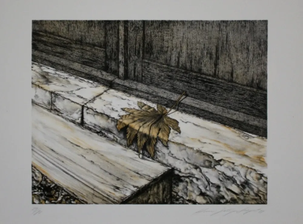 Lithografie Siegert - Ahornblatt / Maple Leaf