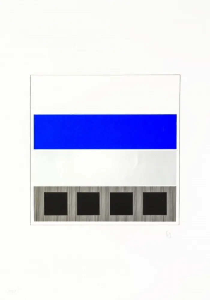 Zeefdruk Soto - Caroni