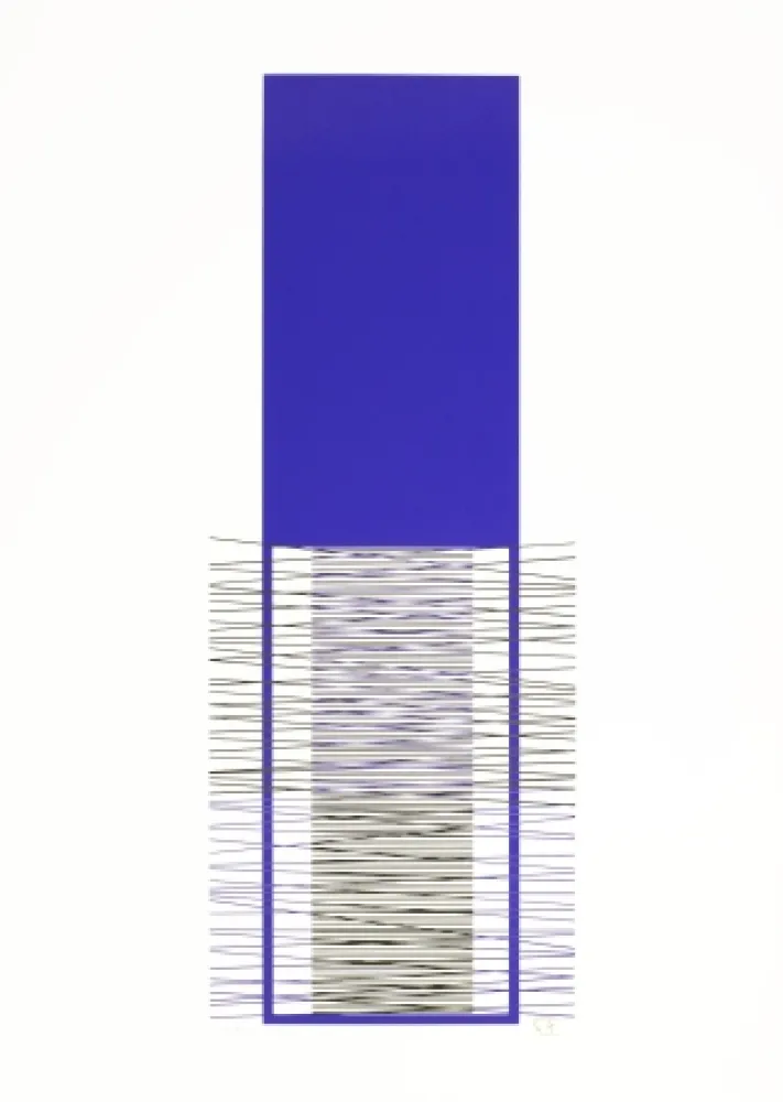 Zeefdruk Soto - Caroni (Purple) 