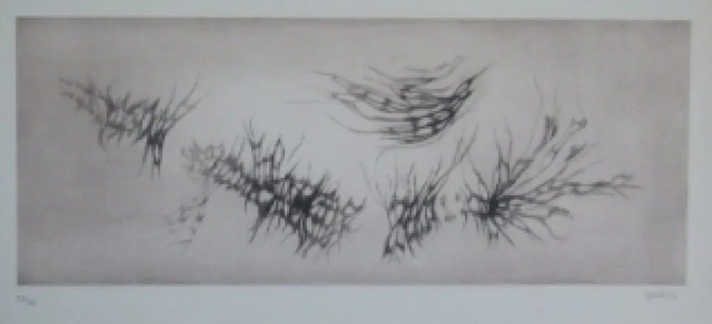 Ets En Aquatint Springer - Racines