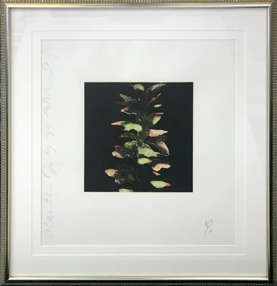 Zeefdruk Sultan - ACANTHUS