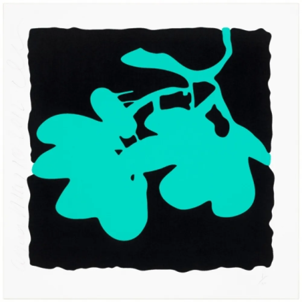 Zeefdruk Sultan - Aqua, May 10, 2012