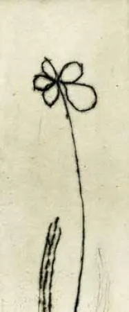 Ets Tachibana  - TOT 48