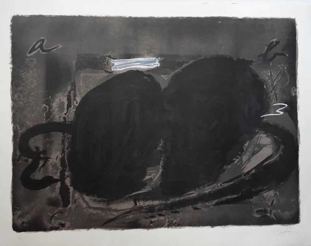 Lithografie Tàpies - Deux Utrous
