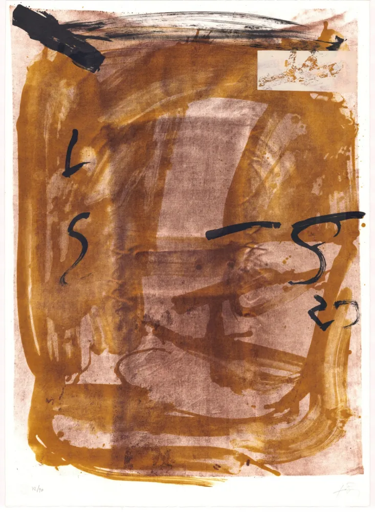 Lithografie Tàpies - Variations