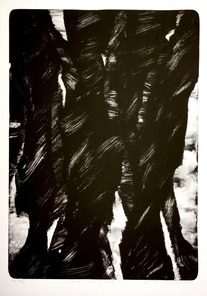 Lithografie Tøjner - Dark shadows of central park