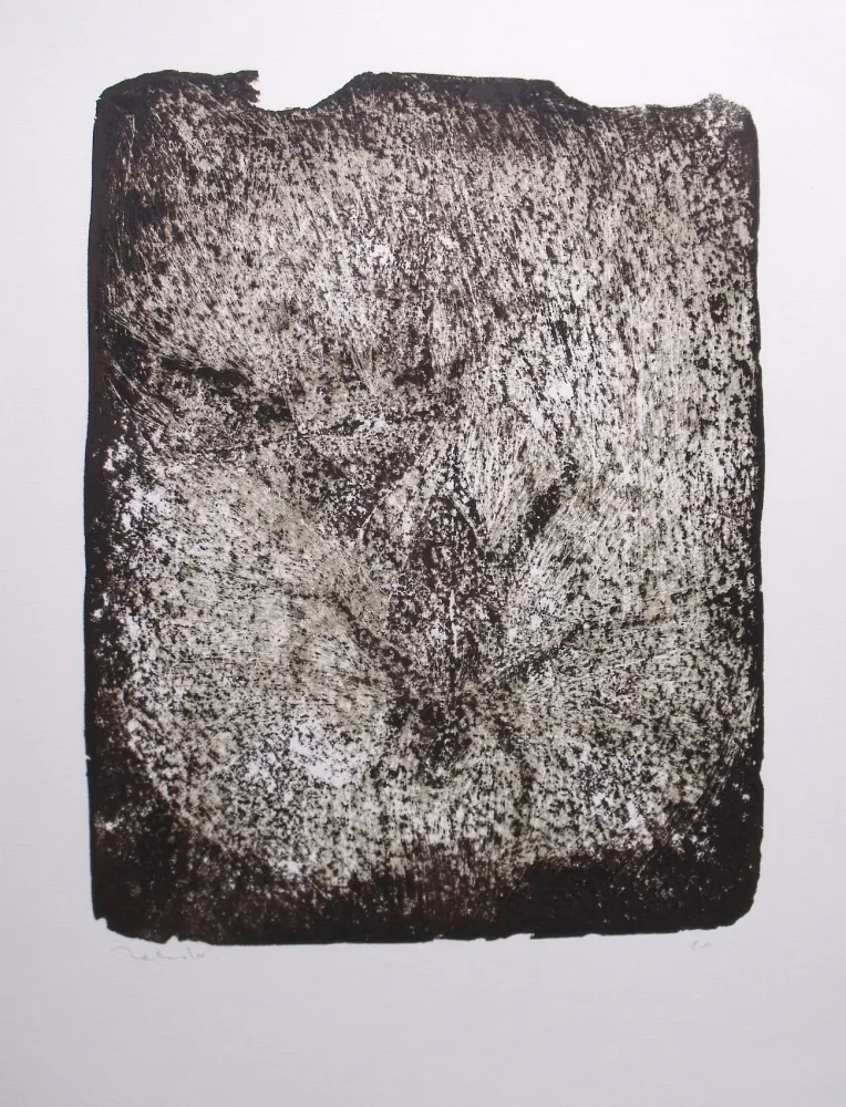 Lithografie Toledo - Plaga