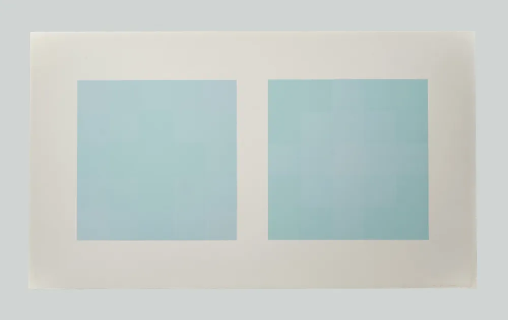 Zeefdruk Tornquist - Composizione