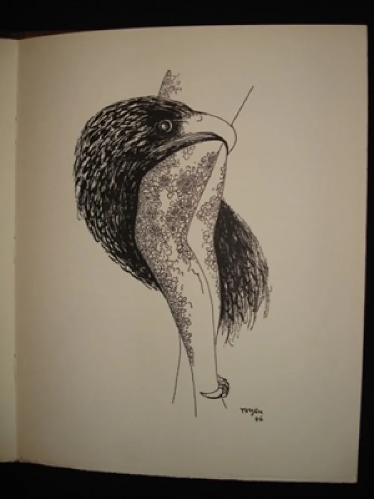 Geïllustreerd Boek Toyen - Le puits dans la tour / TOYEN. Débris de rêves