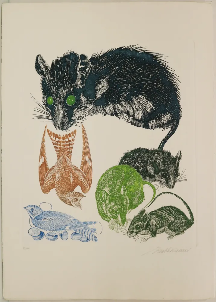 Ets Trubbiani - Senza titolo