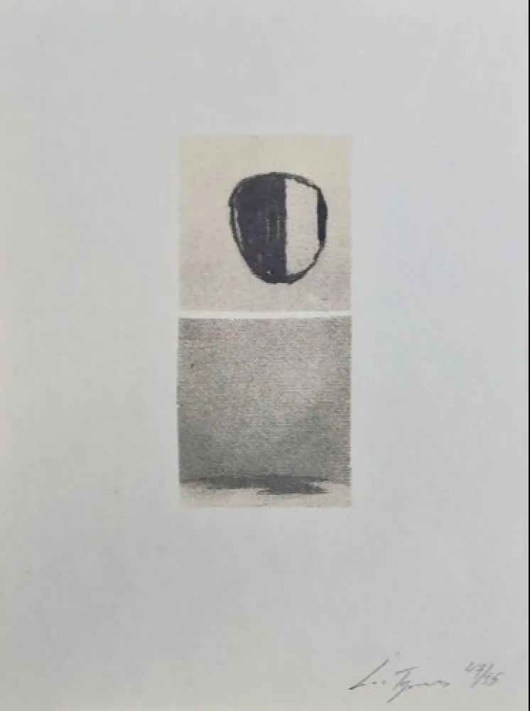 Zeefdruk Tuymans - Het versluierd beeld