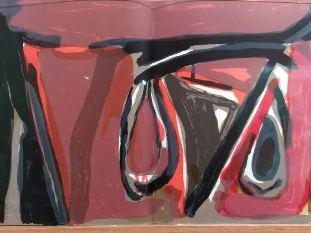 Geïllustreerd Boek Van Velde - DLM 250