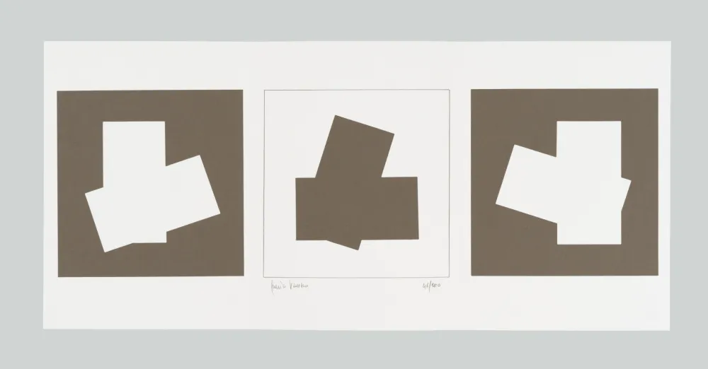 Zeefdruk Varisco - Composizione