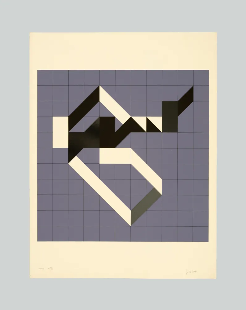 Zeefdruk Varisco - Random walks (Tav. B)