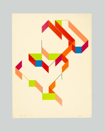 Zeefdruk Varisco - Random walks (Tav. E)