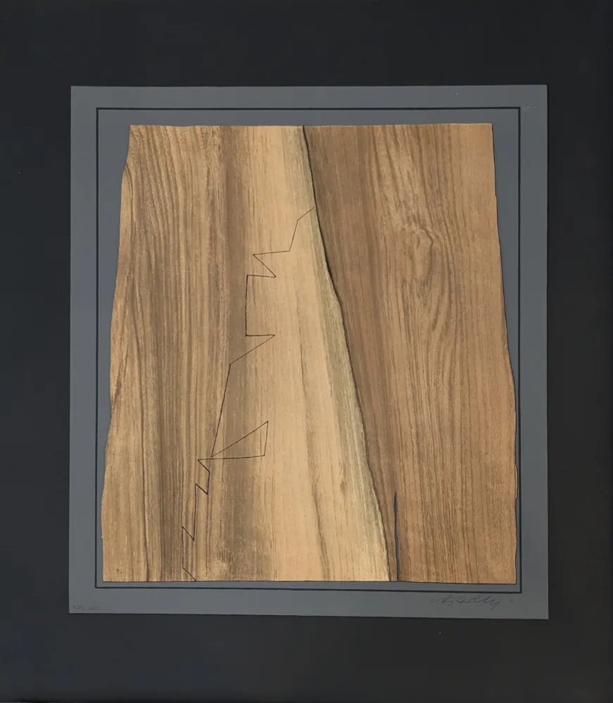 Lithografie Vasarely - Gordes Nives 