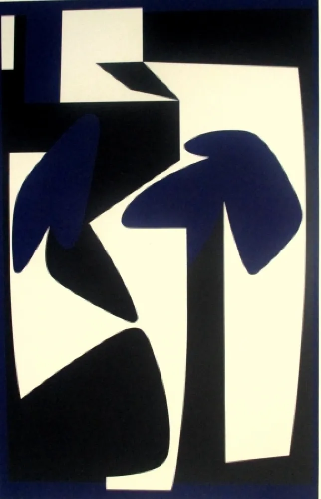 Zeefdruk Vasarely - Yliot 2