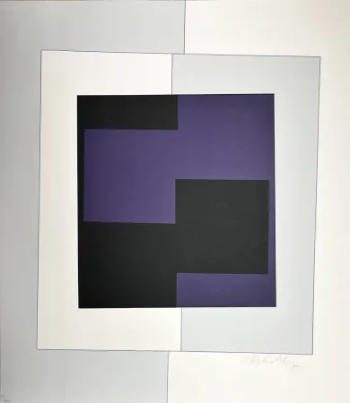 Zeefdruk Vasarely - Zara 
