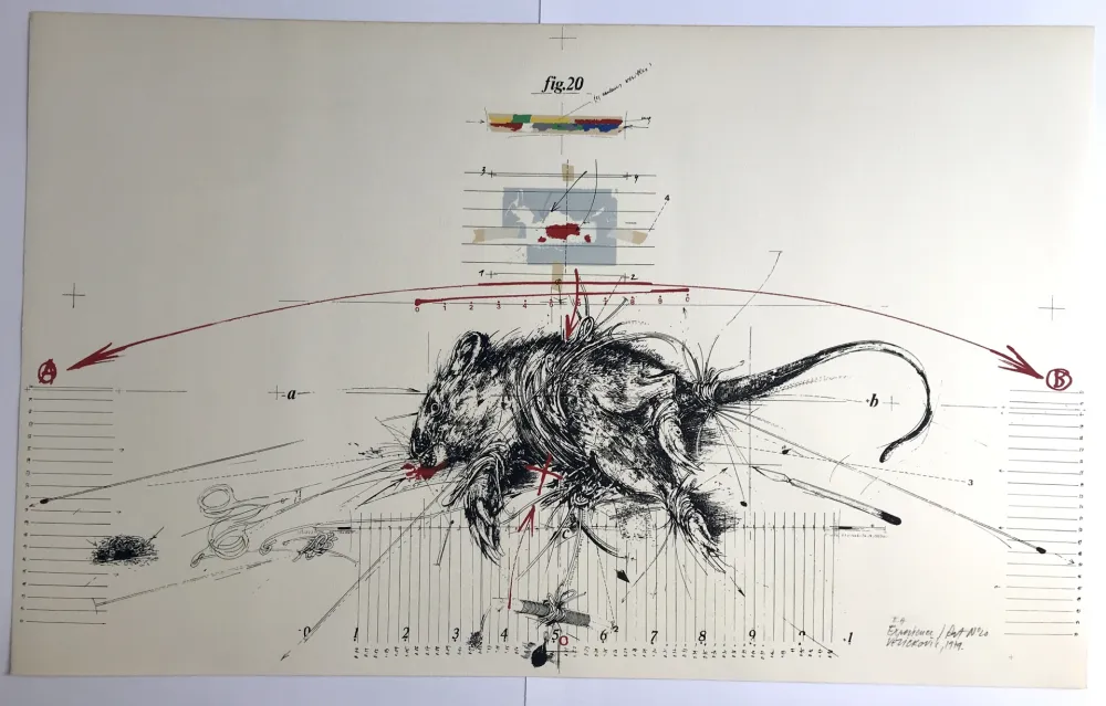 Lithografie Velickovic - Expérience / Rat n°20