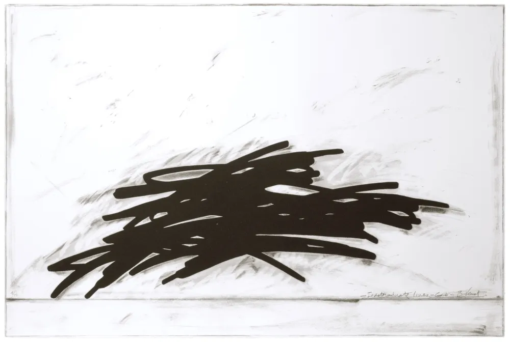 Zeefdruk Venet - Indeterminate Lines - Grib