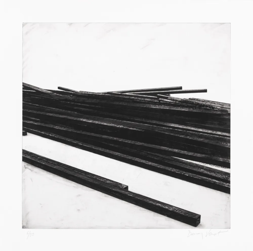 Zeefdruk Venet - Lignes droites / désordre 01