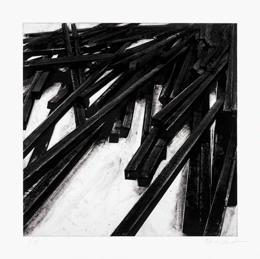 Zeefdruk Venet - Lignes droites / désordre 06