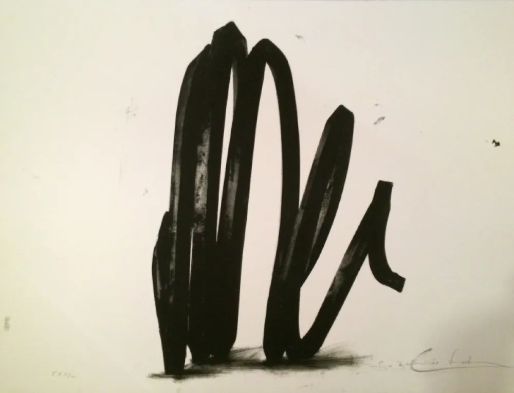 Zeefdruk Venet - Undetermined Line