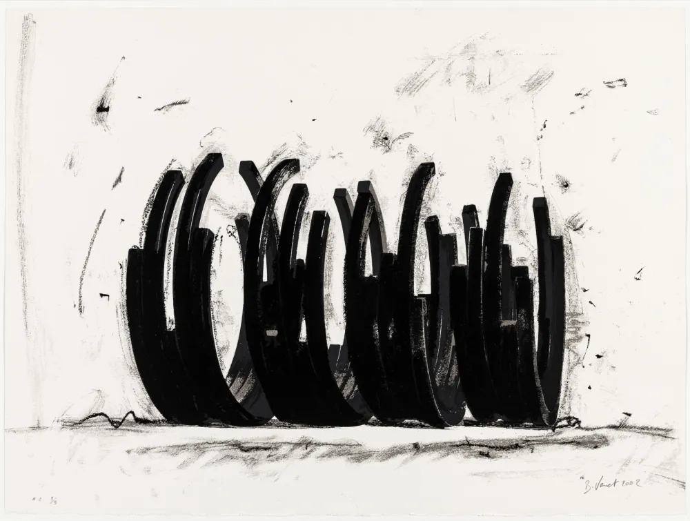 Zeefdruk Venet - Variations on the Arc 03