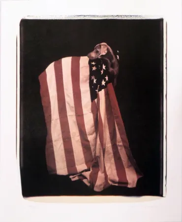 Lithografie Wegman - Profiles in Patriotism (from Freedom of Expression)
