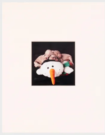 Fotografie Wegman - Three for One