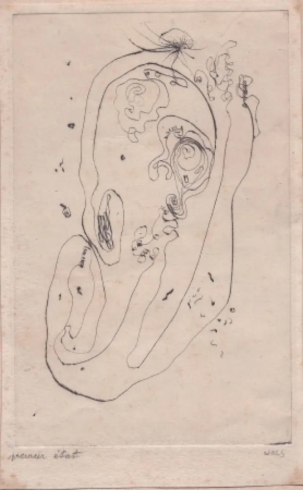 Droge Naald Wols - Ohr