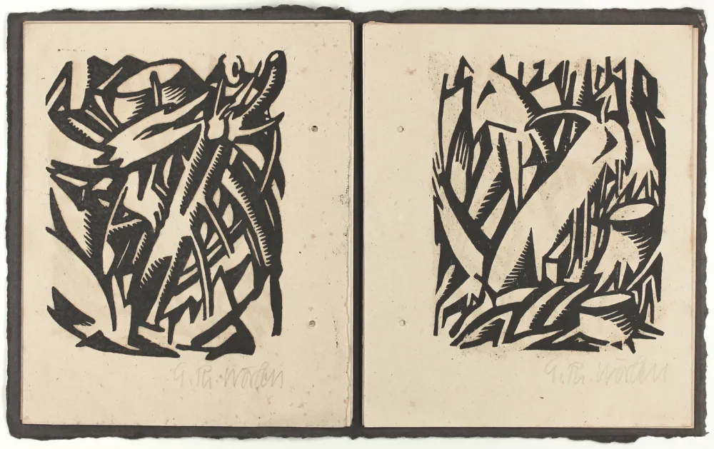 Geïllustreerd Boek Wörlen - Das Erleben des Waldes (The Experience of the Forest)