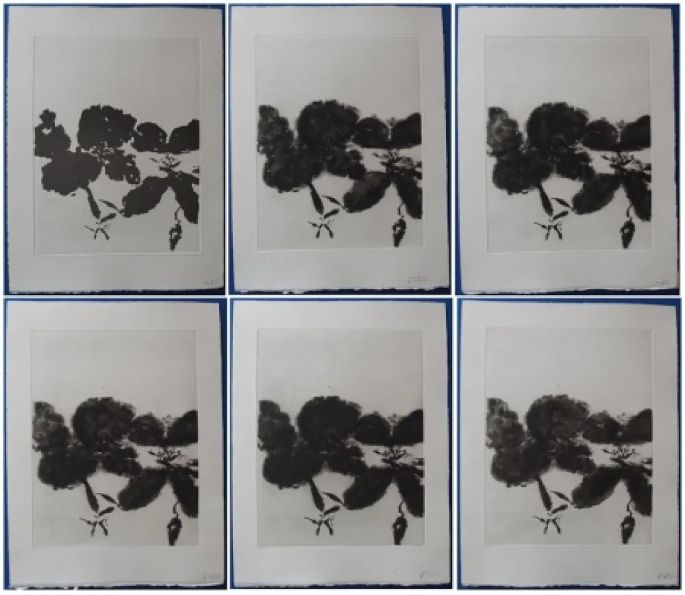Ets En Aquatint Zao - 6 états de la gravure 